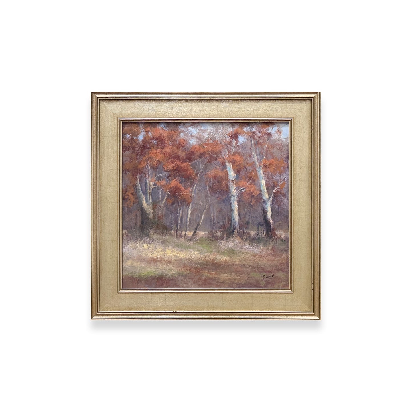 Sycamores In Season