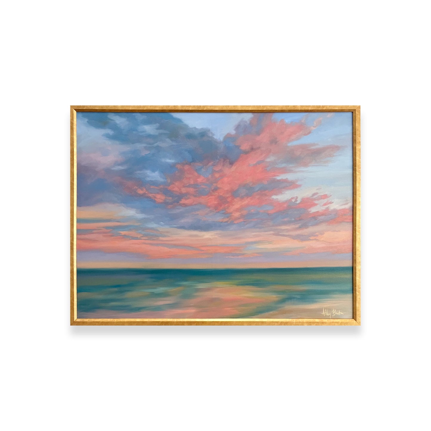 Shared Skies - The Beginnings