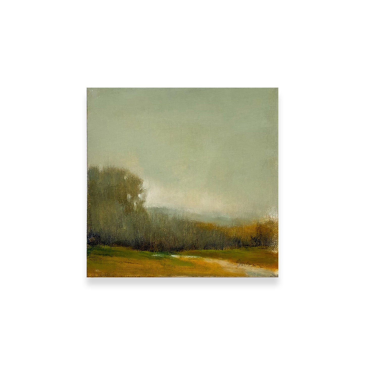 The Far Field