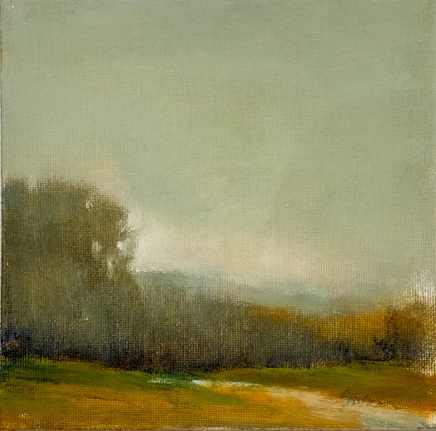 The Far Field