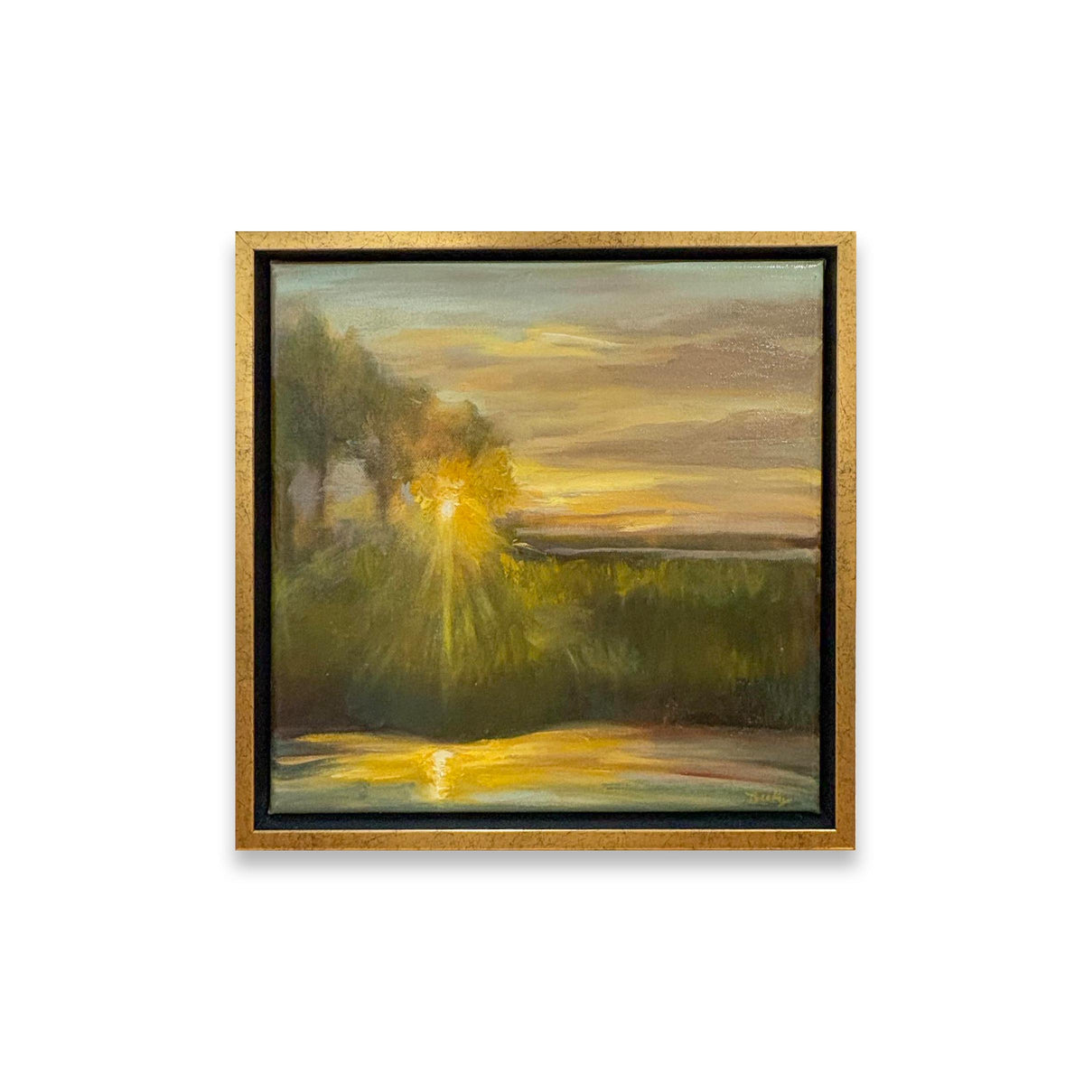 Borrowed Light - The Kindness That Stayed