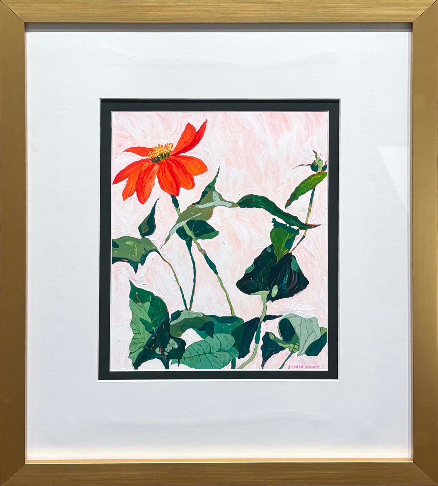 Tithonia