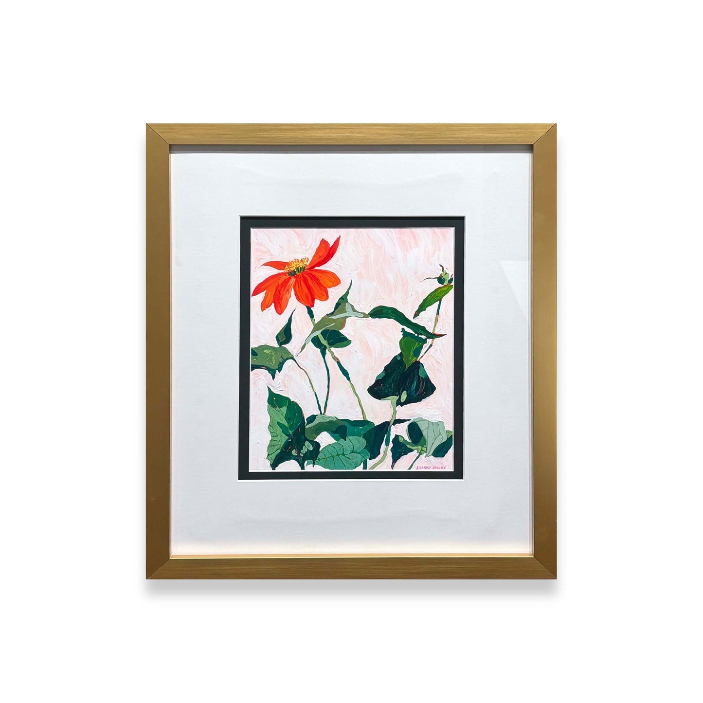 Tithonia