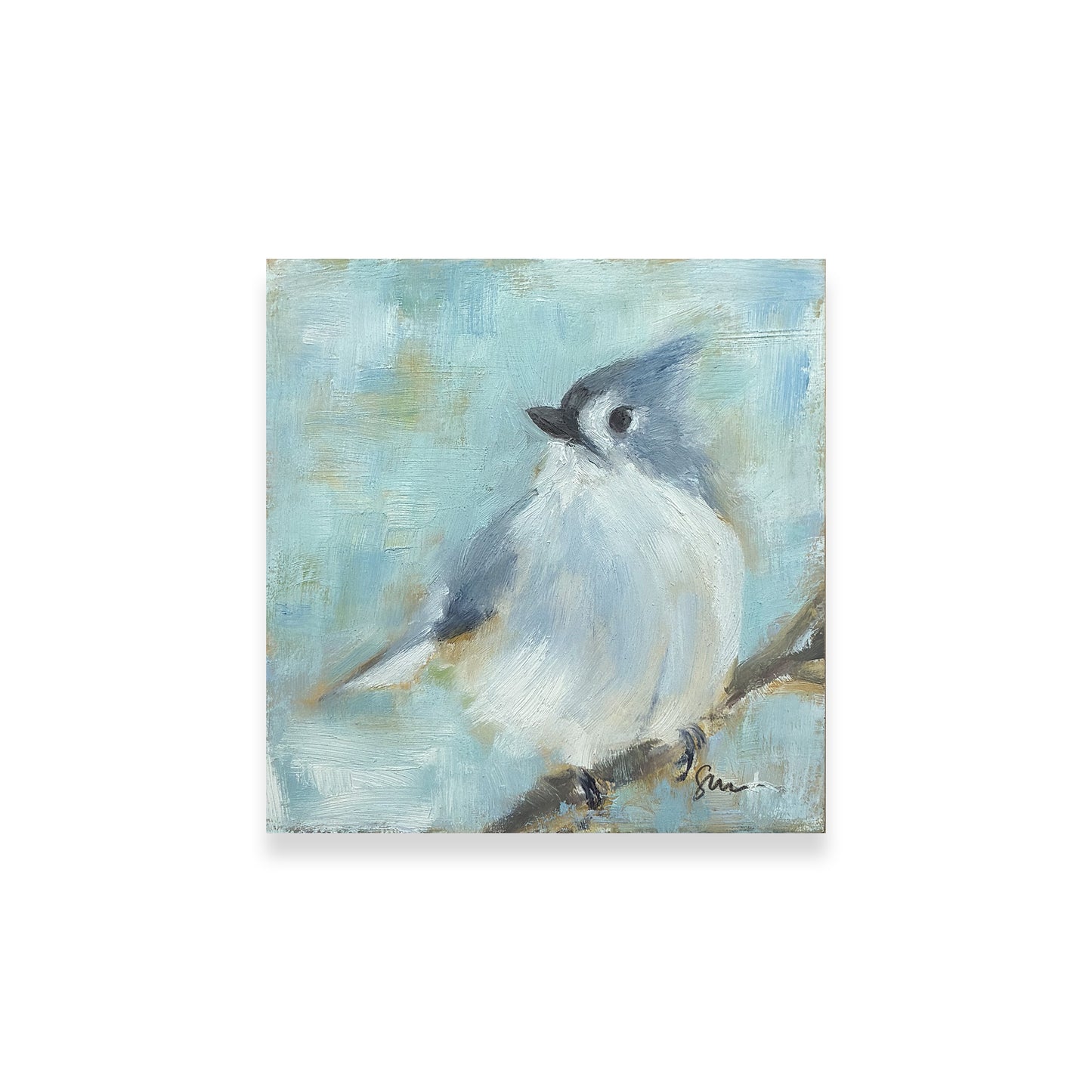 Tufted Titmouse