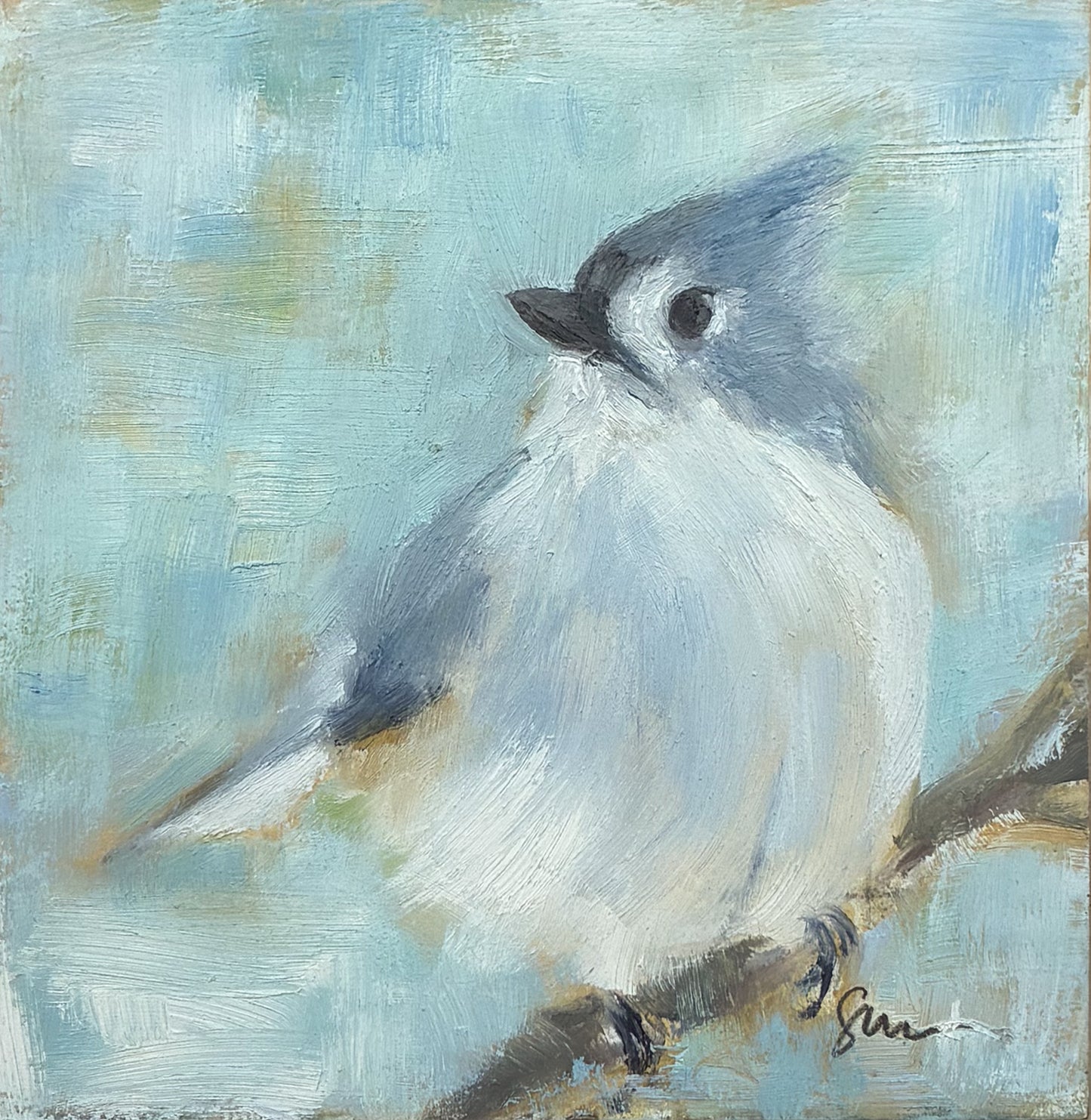 Tufted Titmouse