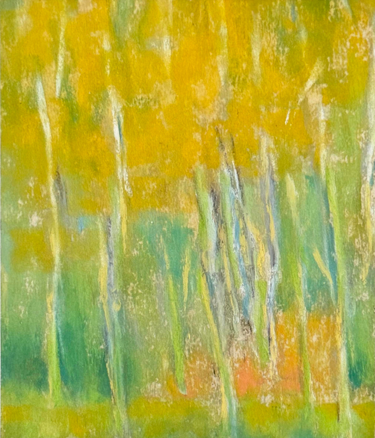 Birch Trees With Golden Leaves
