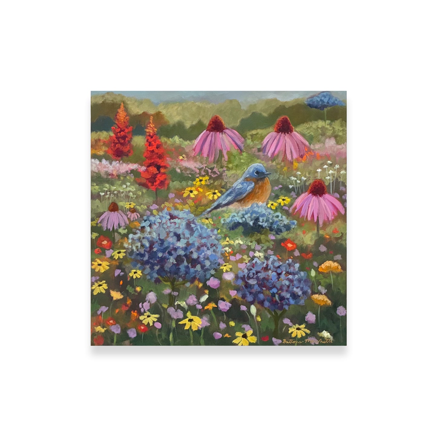 Poppies & Wildflowers - Wildflowers & Bluebird