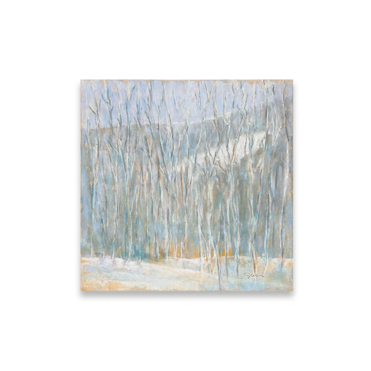 A Place of Stillness - Winter Copse