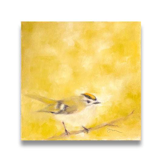 Yellow Crowned Kinglet