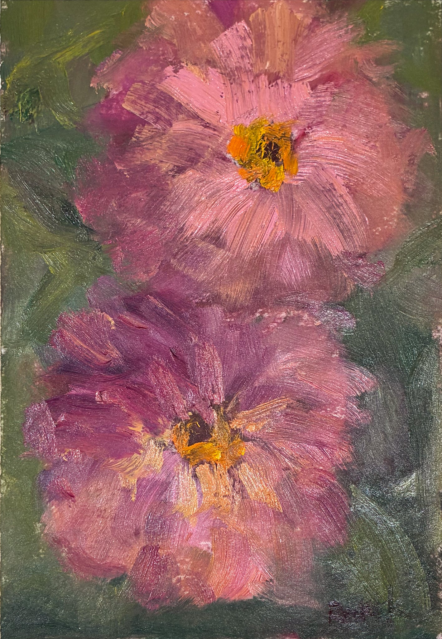 Zinnia II