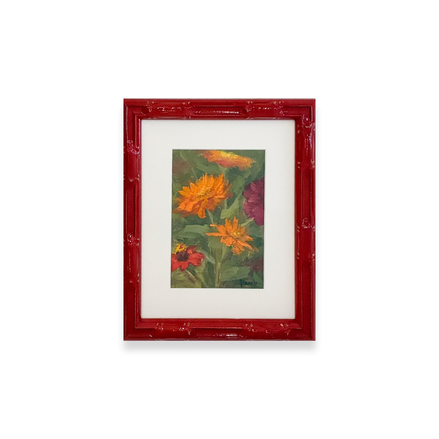 Zinnia I