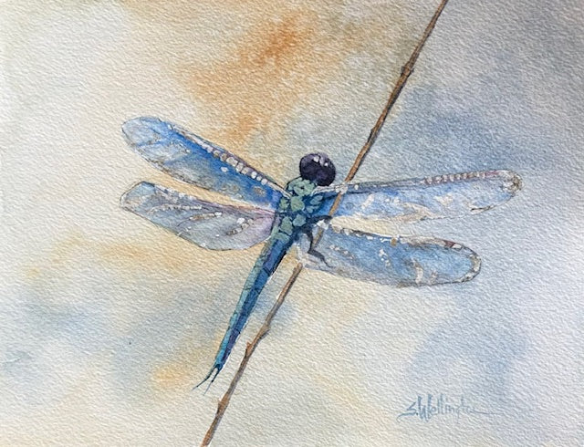 Winging It - Dragonfly Dance