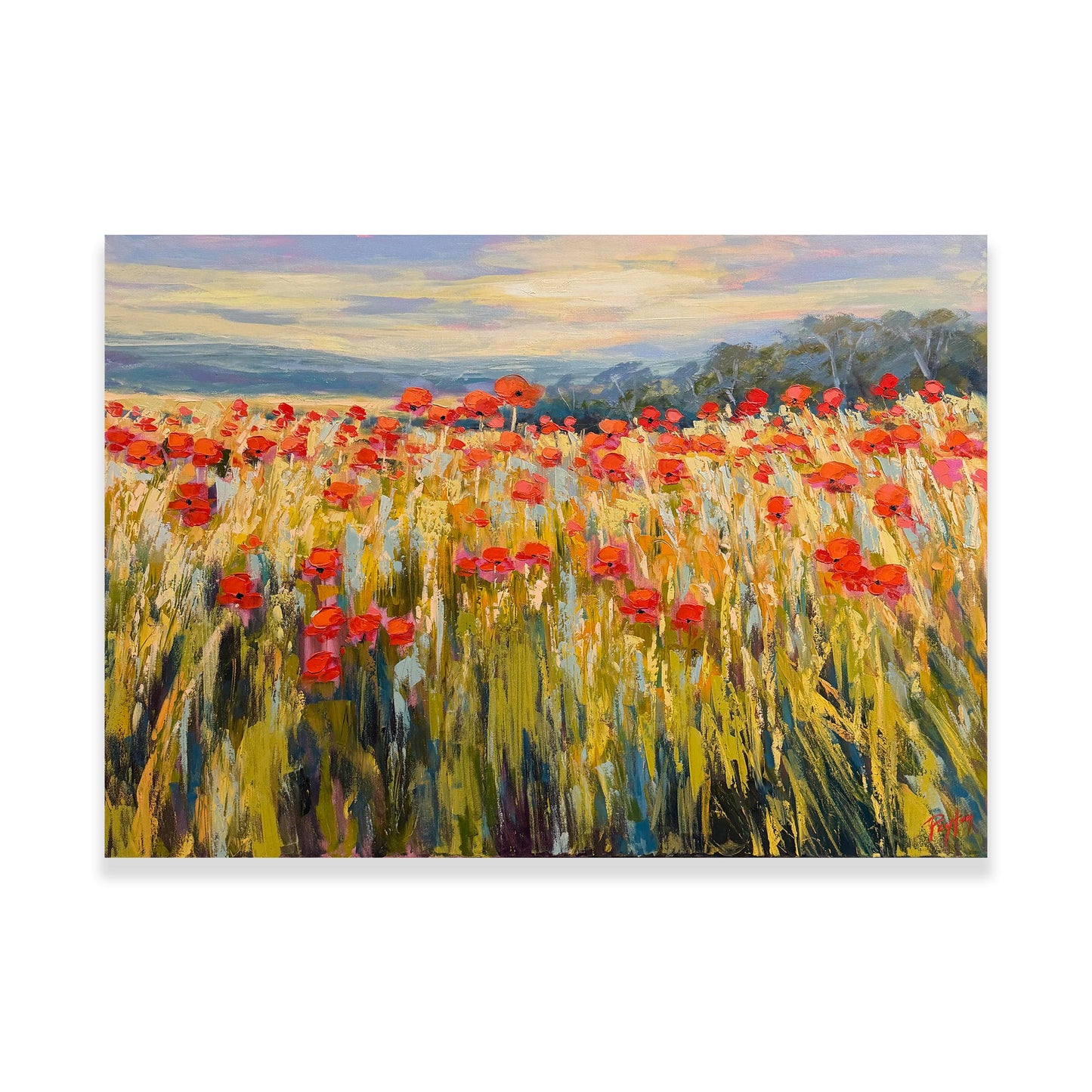 Summer Poppies {HOLD}
