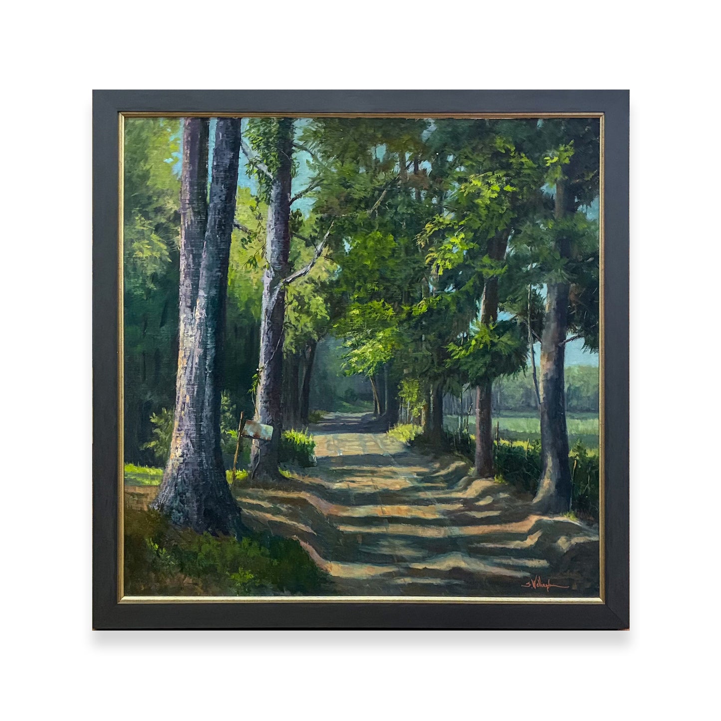Mississippi: In A Certain Light - The Cool Light of Morning