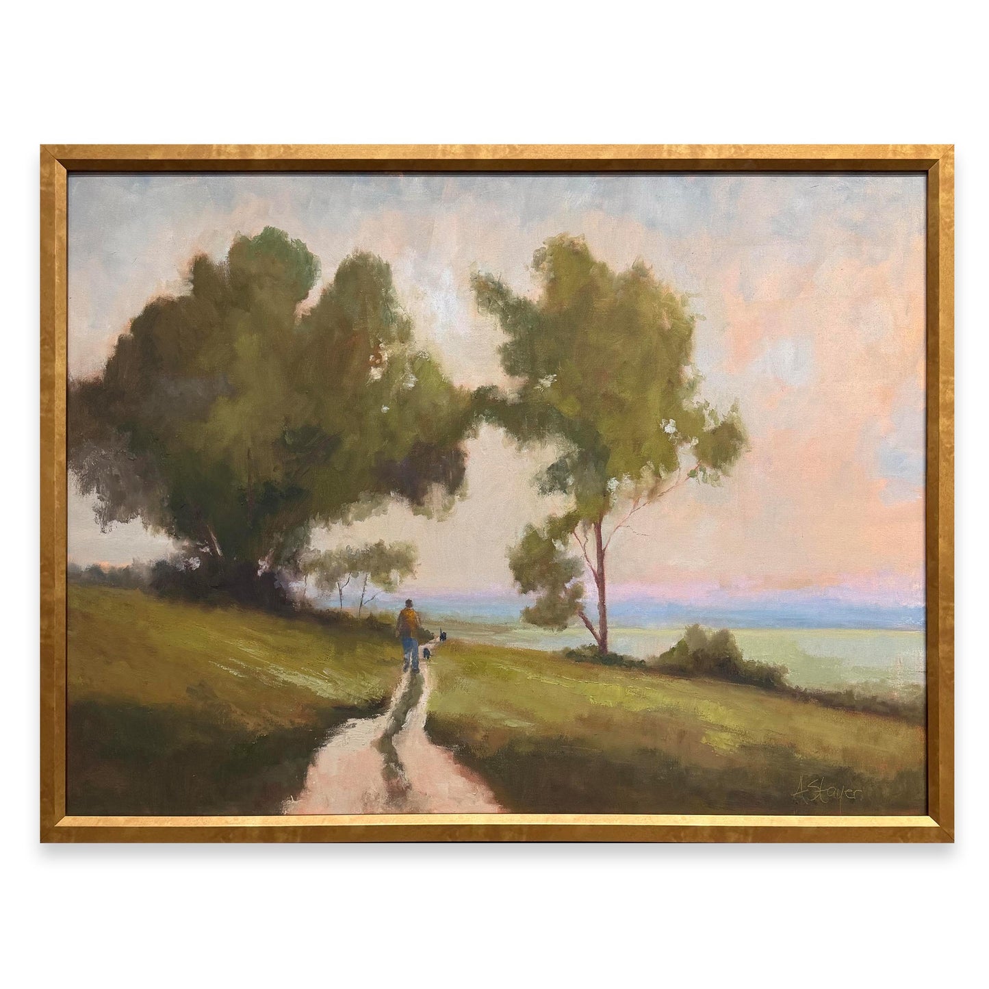 Tides, Fields, and Familiar Roads - Walking With Old Friends