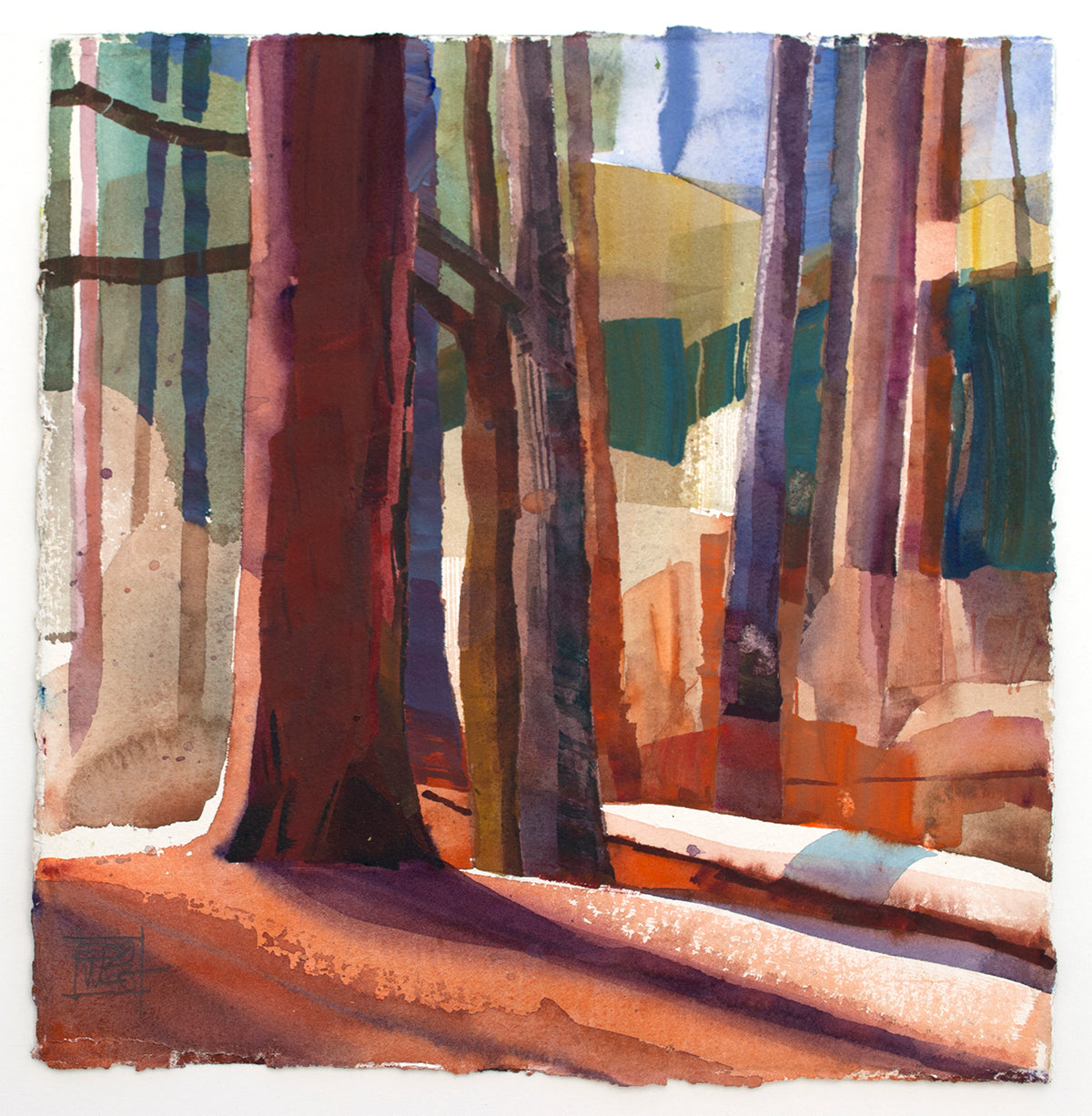 Pine Overlook/ Holly Springs National Forest/ January